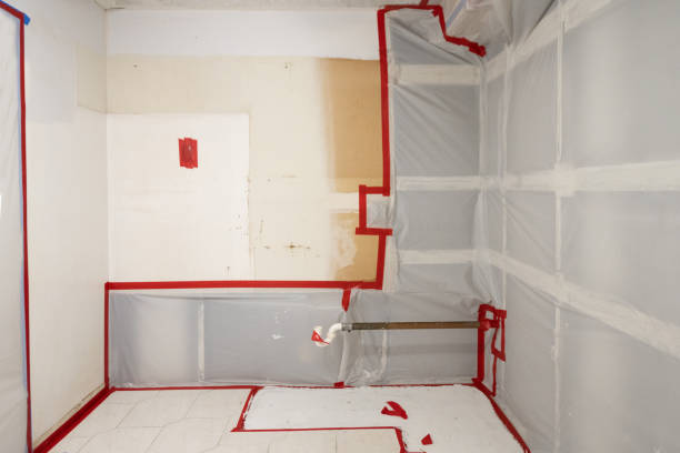 Best Mold Prevention Services  in Greentree, NJ