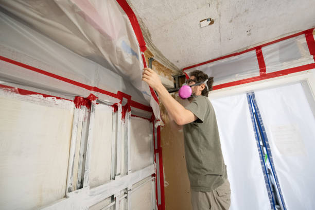 Reliable Greentree, NJ Mold Removal Solutions