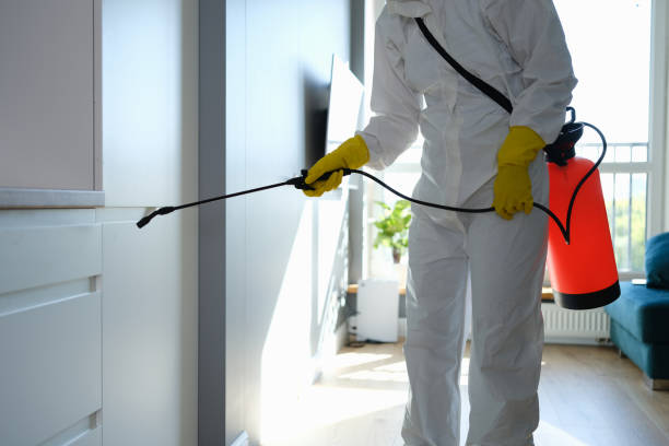 Best Basement Mold Removal  in Greentree, NJ